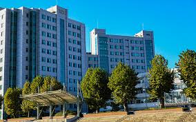 Woosong University Image