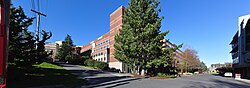 Seattle University Image