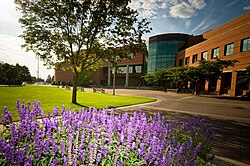 Gonzaga University Image